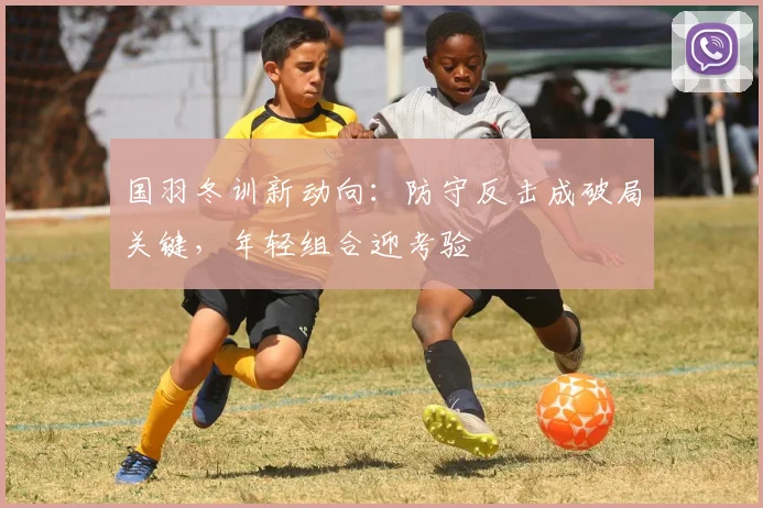 国羽冬训新动向：防守反击成破局关键，年轻组合迎考验