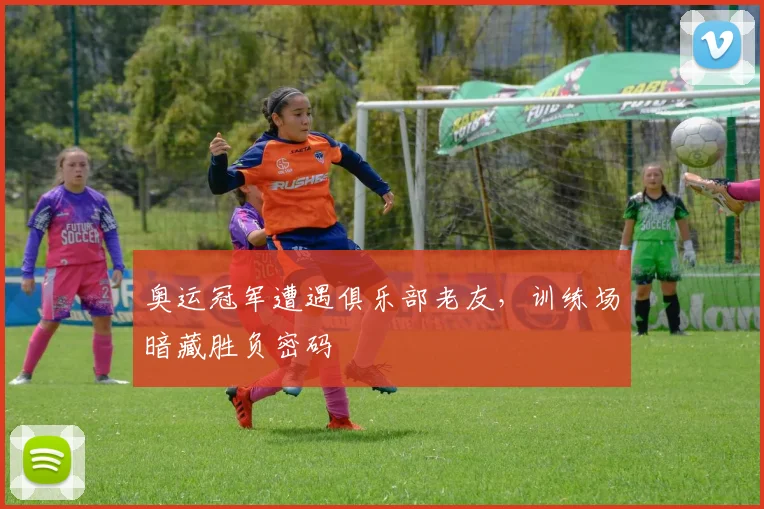 奥运冠军遭遇俱乐部老友，训练场暗藏胜负密码