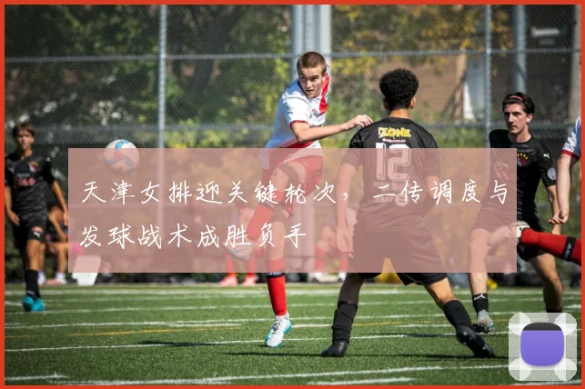 天津女排迎关键轮次，二传调度与发球战术成胜负手