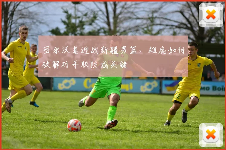 密尔沃基迎战新疆男篮，雄鹿如何破解对手联防成关键