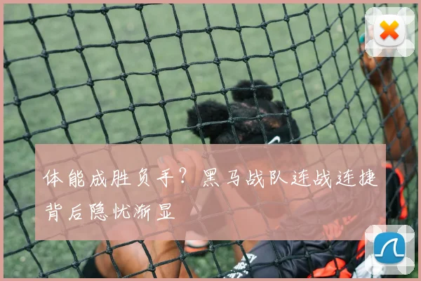 体能成胜负手？黑马战队连战连捷背后隐忧渐显