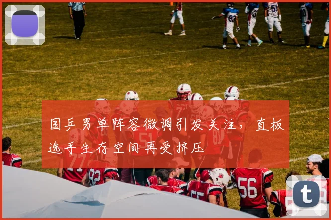 国乒男单阵容微调引发关注，直板选手生存空间再受挤压